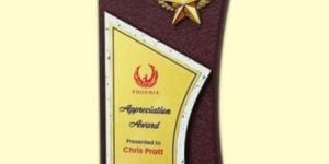 W-5053 Wooden Award