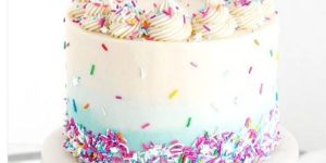 Special Vanilla Cake