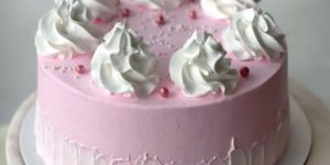 the Cute Strawberry Cake