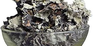 Stone Flower (Kalpasi)