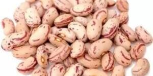 White Rajma