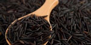 Wild Rice