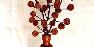 5 Face Rudraksh Bouquet