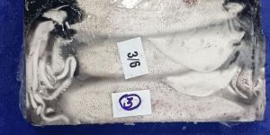 Squid Loligo Whole Round Block Frozen