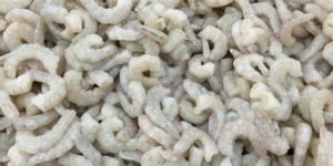 Vannamei Pud Shrimps Fresh Material