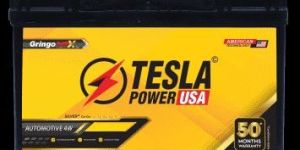 Four Wheeler Battery TPXXDIN66L