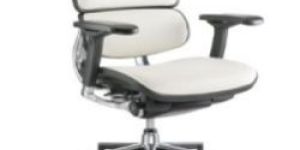 Falcon Leather Mb Chair