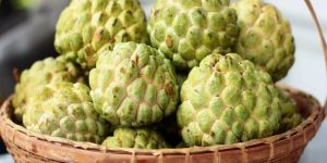 Fresh Sugar Apple