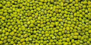 Green Gram (Moong)