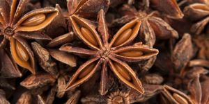 Star Anise Seeds