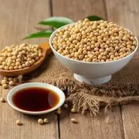 Soyabean Oil