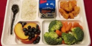 Compostable Meal Tray