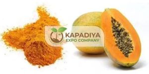 Spray Dried Papaya Powder