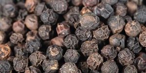 Tellicherry Black Pepper