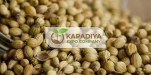 Whole Coriander Seeds