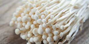 Fresh Enoki Mushroom