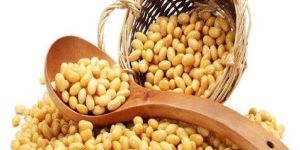Soya Bean Dal
