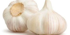 White Fresh Garlic