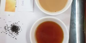 Derjeeling CTC ( BP GRADE)