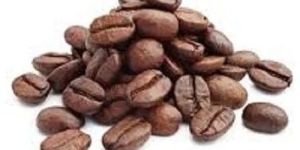 Robusta Coffee Beans