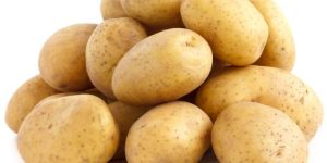 Potato
