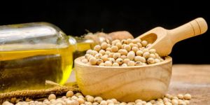 Soyabean Oil