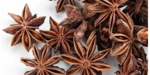 Star Anise