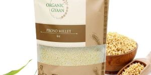 Unpolished Organic Proso Millet / Panivaragu