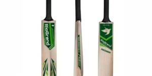 Pokemon Wooden Cricket Bat for Kids with Heavy Tennis Ball