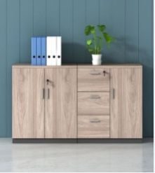 Modular Back Storage