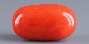 Italian Red Coral - 8.31 Carat Rare Quality CC-5937