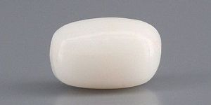 White Coral Stone