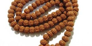 Super Quality 9mm 6 Mukhi Rudraksha Mala