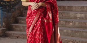 Vasundhara Red Handvoven Banarasi Silk Saree
