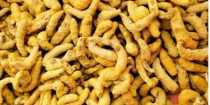 Double Polished Turmeric