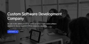 Custom Software Development