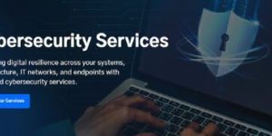 Cybersecurity Consulting