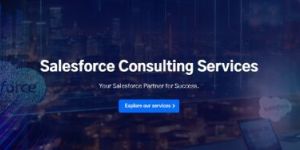 Salesforce Consulting