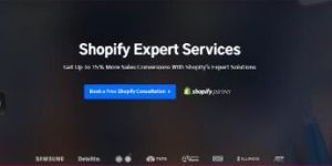 Shopify Consulting