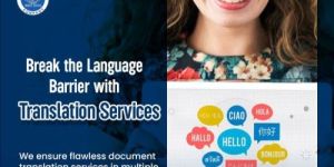 Document Translation