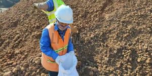 Businesses Consultancy Services