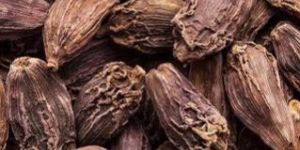 Black Cardamom