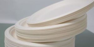 Sugarcane Bagasse Plates & Tableware