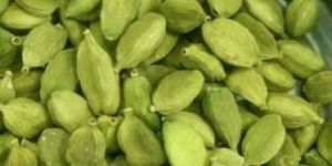 Cardamom