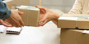 Domestic Courier Services