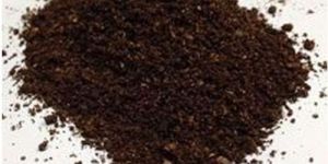 NOP Rhizobium Powder