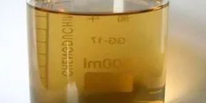 NOP Zinc Solubilizing Bacteria Liquid