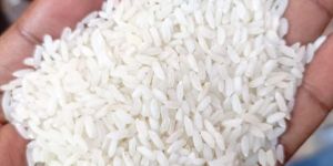 Polished Rice