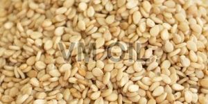 Natural Sesame Seeds