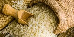 PR14 Basmati Rice